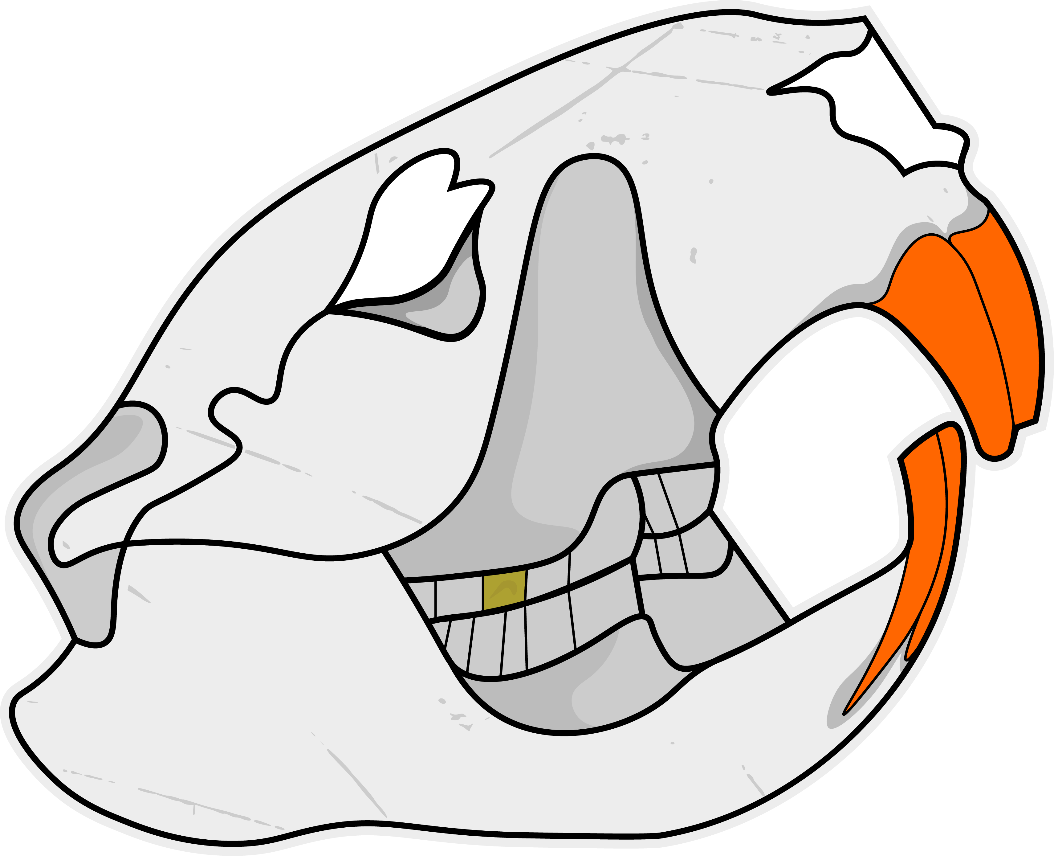 Rowgle Logo